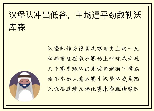汉堡队冲出低谷，主场逼平劲敌勒沃库森